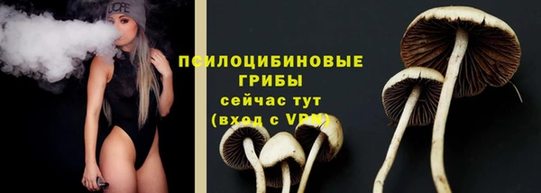 apvp Алзамай