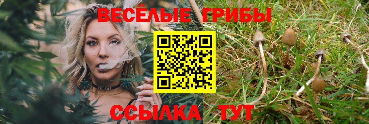 Лесной  Псилоцибиновые грибы Magic Shrooms  наркотики  Вход с VPN 